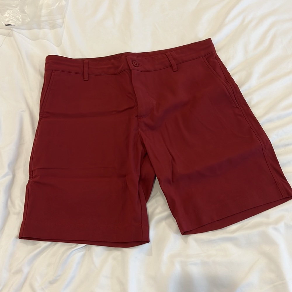 BRAND NEW OUTLIER SHORTS 32”
